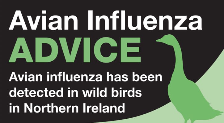 Avian Influenza Advice- Avian Influenza has been detected in the wild birds in Northern Ireland